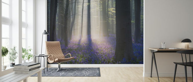 PHOTOWALL / Velvet Light (e323761)