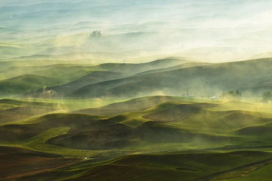 PHOTOWALL / Golden Morning - Palouse (e323763)