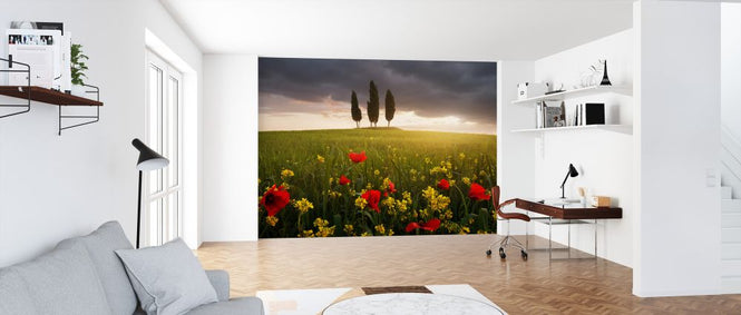 PHOTOWALL / Blooming Tuscany (e323767)