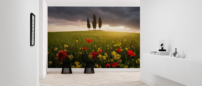 PHOTOWALL / Blooming Tuscany (e323767)