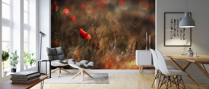 PHOTOWALL / Poppy (e323769)