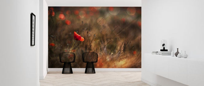 PHOTOWALL / Poppy (e323769)