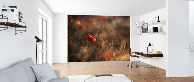 PHOTOWALL / Poppy (e323769)