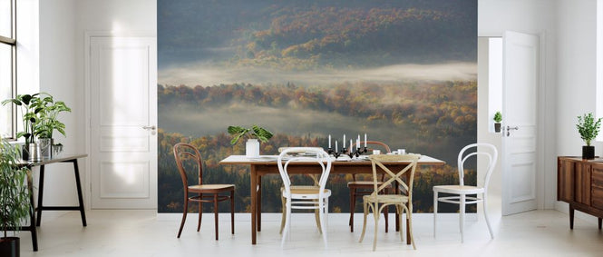 PHOTOWALL / Misty Morning (e323770)