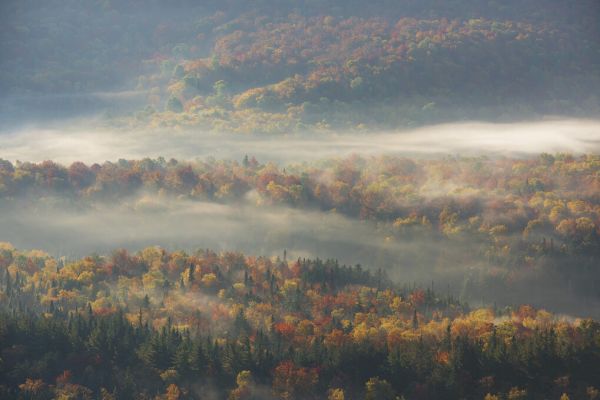 PHOTOWALL / Misty Morning (e323770)