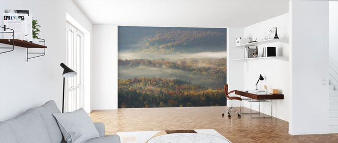 PHOTOWALL / Misty Morning (e323770)