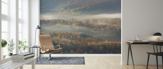 PHOTOWALL / Misty Morning (e323770)