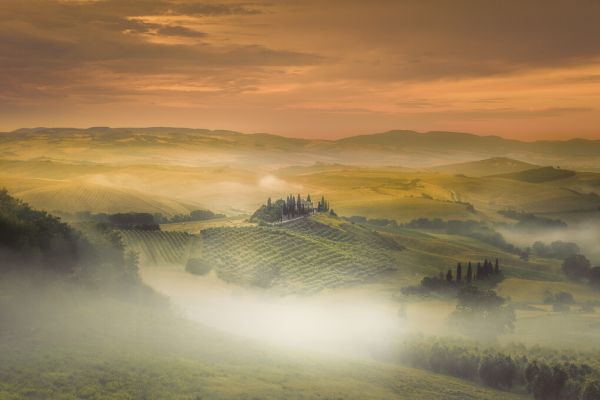 PHOTOWALL / Morning Fog (e323777)