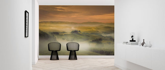 PHOTOWALL / Morning Fog (e323777)