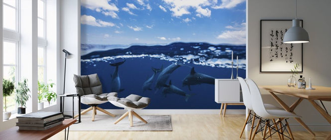 PHOTOWALL / Between Air and Water (e323806)