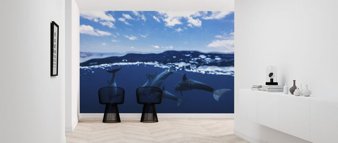 PHOTOWALL / Between Air and Water (e323806)