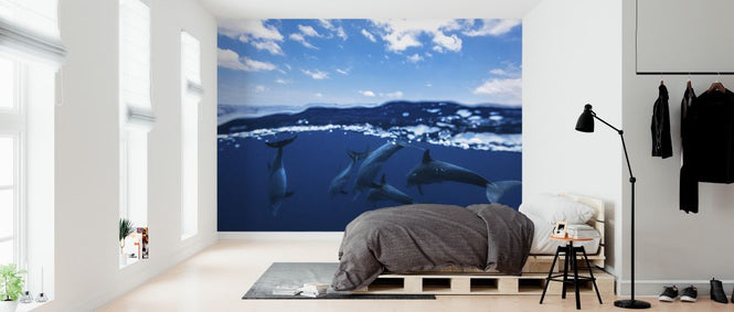 PHOTOWALL / Between Air and Water (e323806)