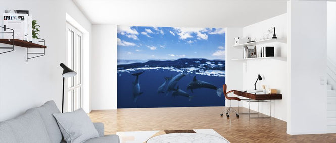 PHOTOWALL / Between Air and Water (e323806)