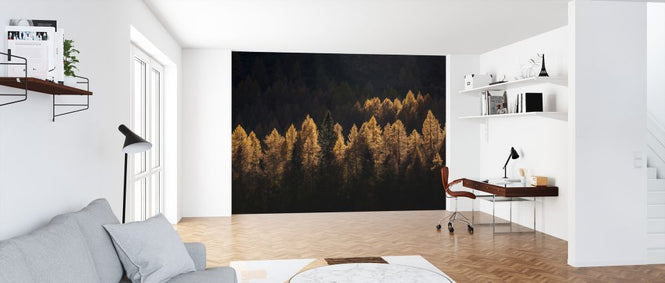 PHOTOWALL / Light for a Few (e323808)