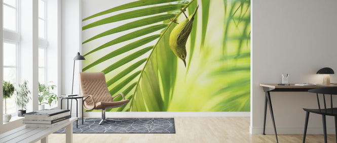 PHOTOWALL / 50 Shades of Green (e323809)