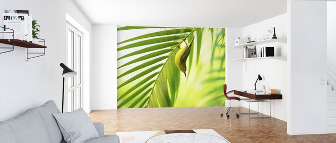 PHOTOWALL / 50 Shades of Green (e323809)