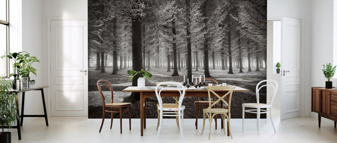 PHOTOWALL / Onset of Winter (e323813)