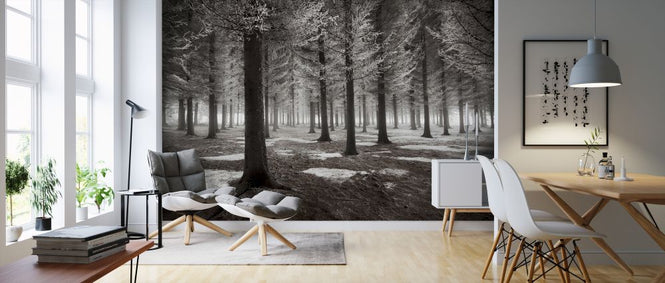 PHOTOWALL / Onset of Winter (e323813)