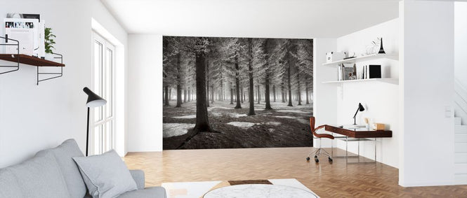 PHOTOWALL / Onset of Winter (e323813)