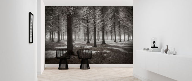 PHOTOWALL / Onset of Winter (e323813)