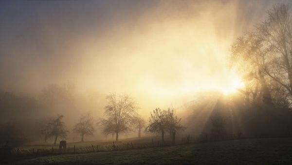 PHOTOWALL / Glorious Morning (e323814)
