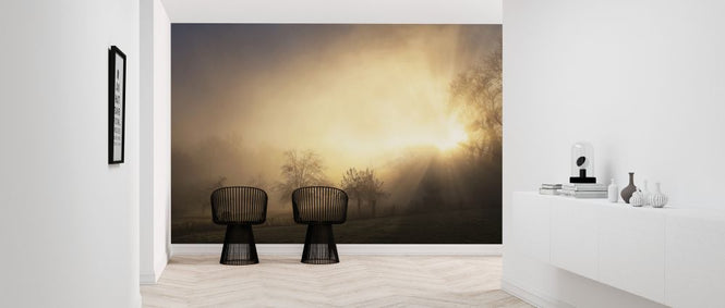 PHOTOWALL / Glorious Morning (e323814)