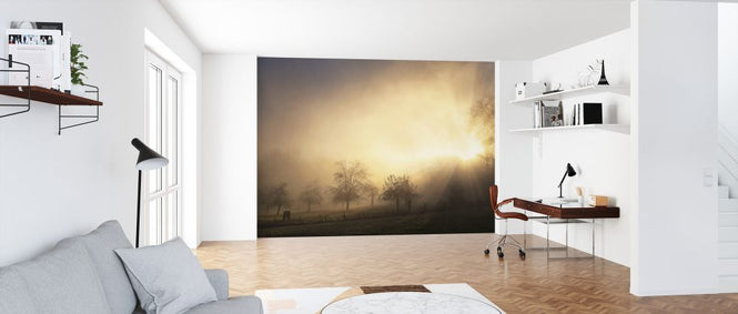 PHOTOWALL / Glorious Morning (e323814)