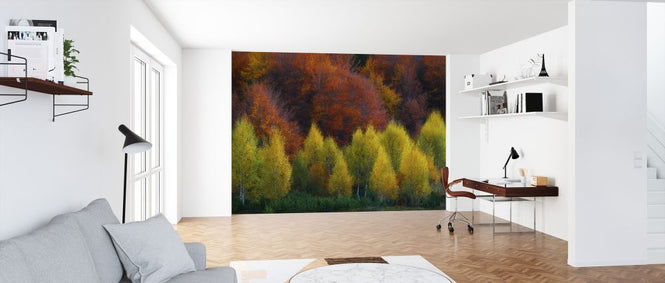 PHOTOWALL / Nimbrethil (e323821)