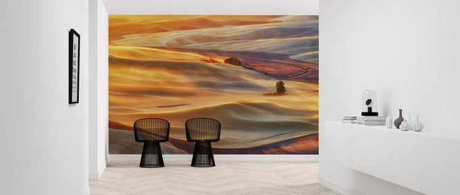 PHOTOWALL / Golden Palouse (e323833)