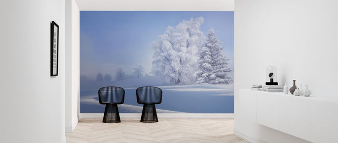PHOTOWALL / Crispy Morning (e323838)