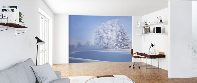 PHOTOWALL / Crispy Morning (e323838)