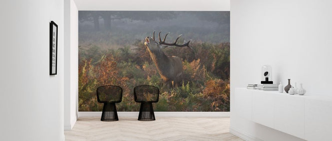 PHOTOWALL / Bellowing Stag Deer (e323839)