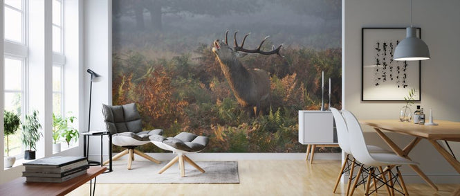 PHOTOWALL / Bellowing Stag Deer (e323839)