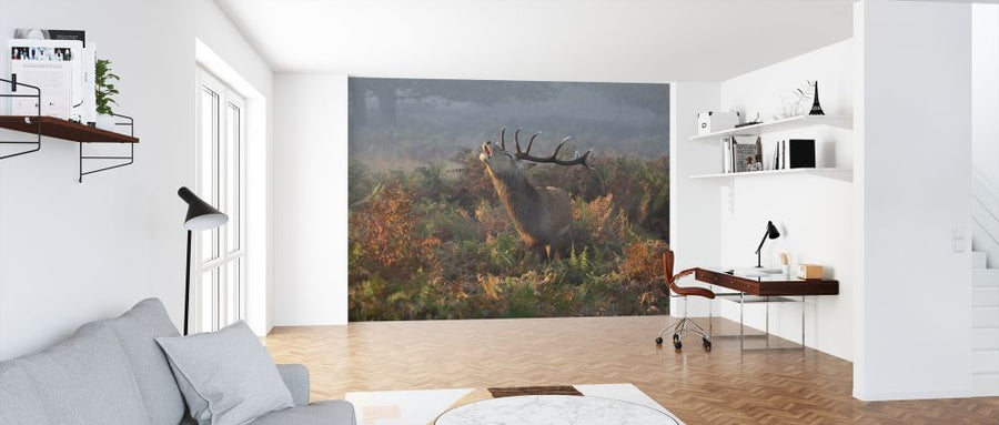 PHOTOWALL / Bellowing Stag Deer (e323839)