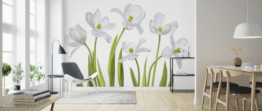 PHOTOWALL / White Tulips (e323846)