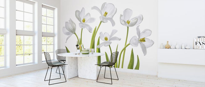PHOTOWALL / White Tulips (e323846)