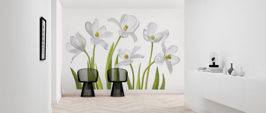 PHOTOWALL / White Tulips (e323846)