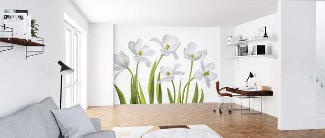 PHOTOWALL / White Tulips (e323846)