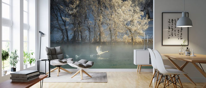 PHOTOWALL / Spirit of a Swan (e323850)