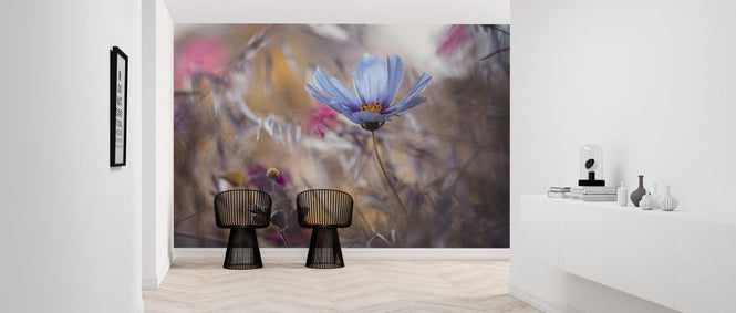 PHOTOWALL / Things that Flowers Tell (e323854)