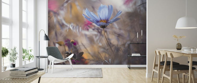 PHOTOWALL / Things that Flowers Tell (e323854)