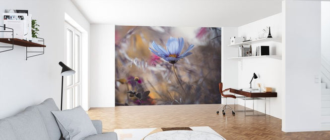 PHOTOWALL / Things that Flowers Tell (e323854)