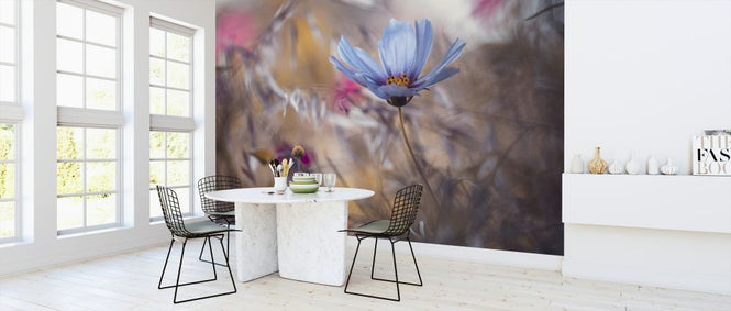 PHOTOWALL / Things that Flowers Tell (e323854)