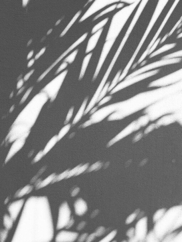 PHOTOWALL / Shadow Lead Black and White (e323531)