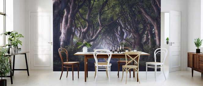 PHOTOWALL / Dark Hedges (e323866)