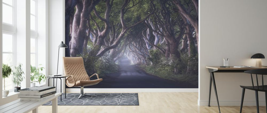 PHOTOWALL / Dark Hedges (e323866)