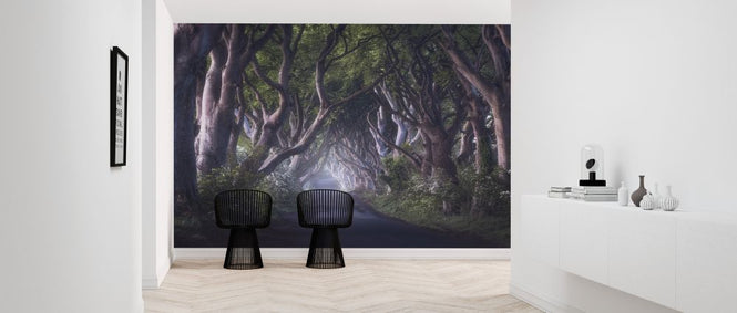 PHOTOWALL / Dark Hedges (e323866)