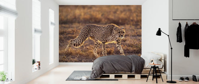 PHOTOWALL / Making the Moment (e323875)