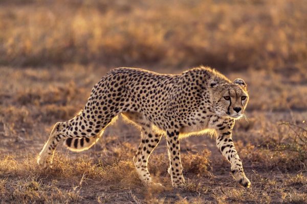 PHOTOWALL / Making the Moment (e323875)