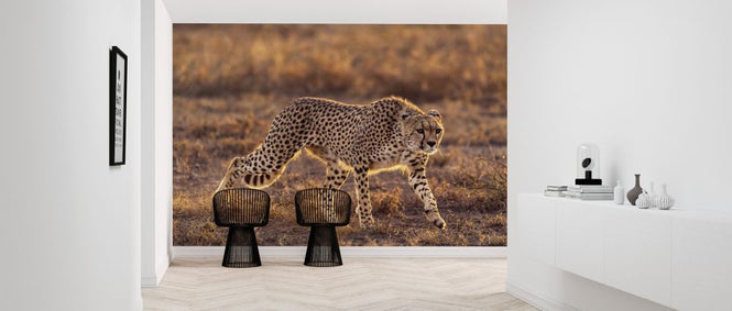 PHOTOWALL / Making the Moment (e323875)